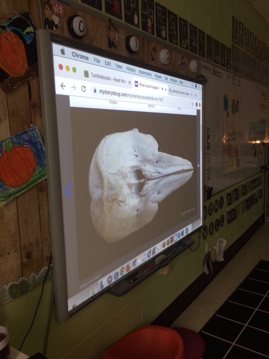 mrsbowesteaches's tweet photo. We love watching @mysterydoug at morning snack. What a great way to practice our predicting skills. Today we learned about x-rays! #prediciting #science #facts https://t.co/5DIozfwUri