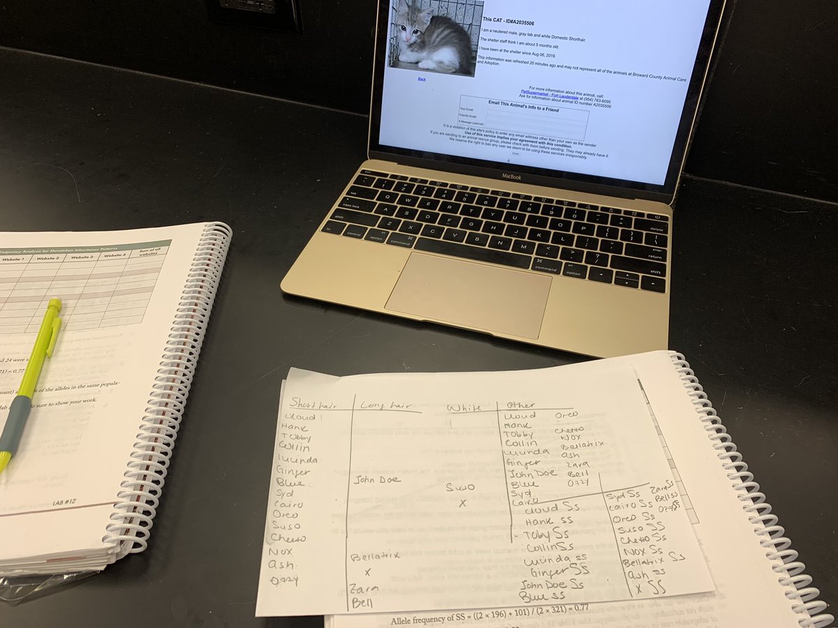 jardsd's tweet photo. I lied THIS WAS MY FAVORITE LAB ALL YEAR! I got to learn lots about my spirit animal! only wished we could’ve done a school trip and met the kittens :( #mycatsaGENEious #kittygenes #catgenesarecute https://t.co/1A1oCpN8q8