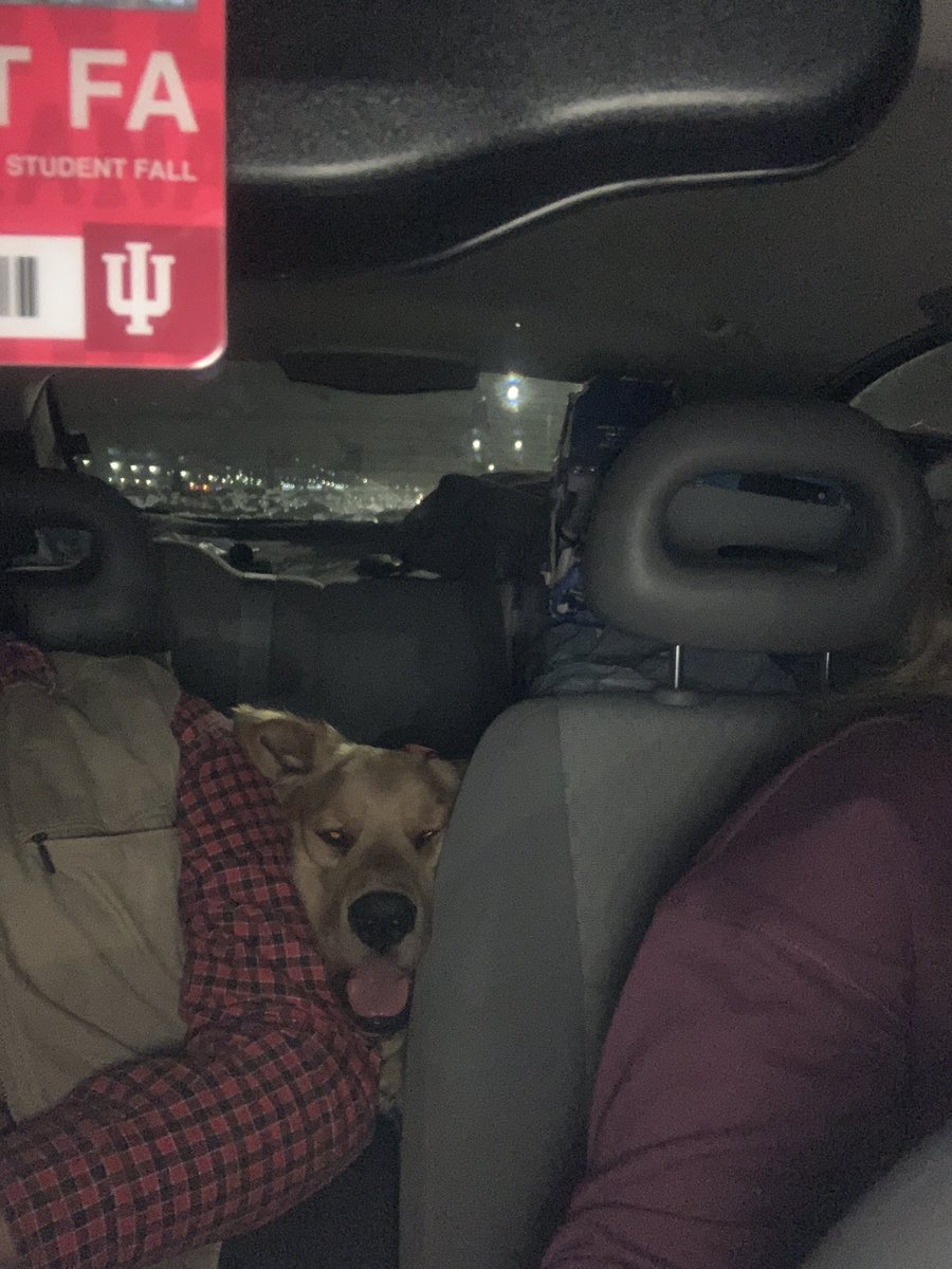 Twentyonetyler's tweet image. Needless to say Dexter is really not about this late night traveling..