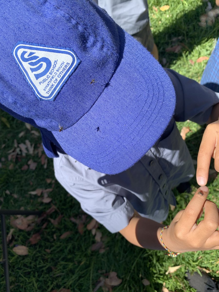 April Morley tweet media