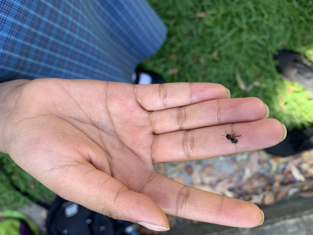 April Morley tweet media