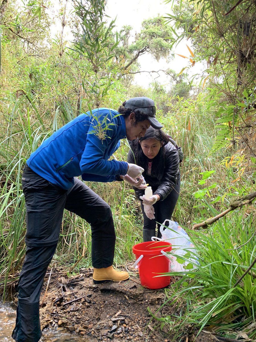 FONAPA1's tweet photo. El monitoreo del agua asociado a las actividades conservación es indispensable. @EMAPALAzogues @ETAPAOficial @udecuenca Financiado por @PROAmazoniaEC @Ambiente_Ec @theGCF https://t.co/wQfFvwANCj