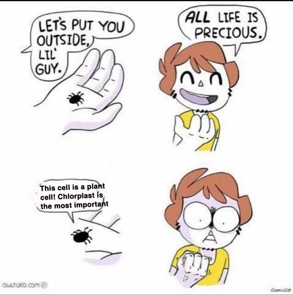 riBROsomee's tweet photo. When @realChloraPlast thinks being green is enough to win this campaign 🥵🥵 #rmorganelles19 @Mrs_Albaugh https://t.co/6ZEc58lrwt