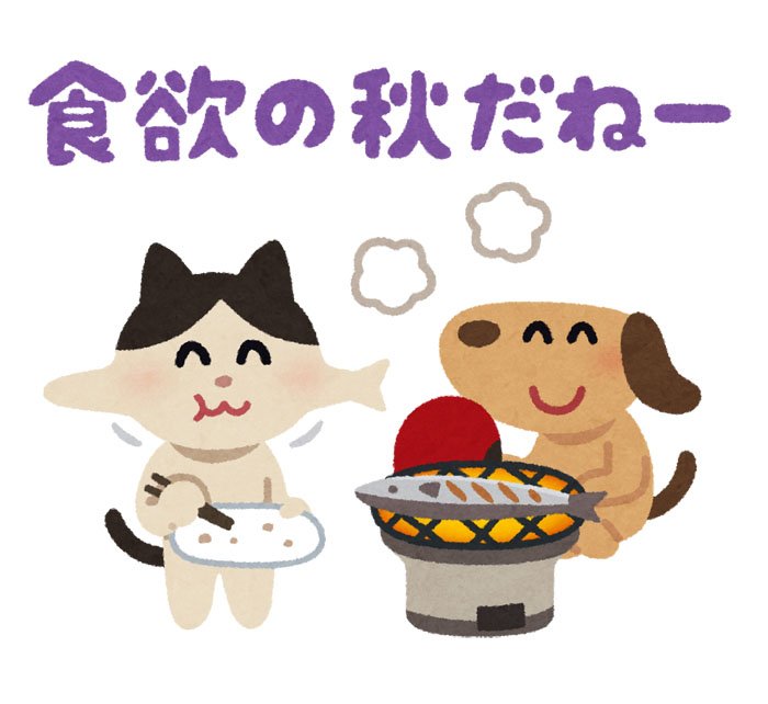 Twitter 上的 ぴあねこみかん 大人のピアノ研究会 私も猫の保護活動に協力したい そう考えて 近くのペットサロンから使わないゲージを５つほどもらってきました これからも色々くれるようです さっそくｔｎｒ活動をしてる知人にもらってもらいました ありがたい