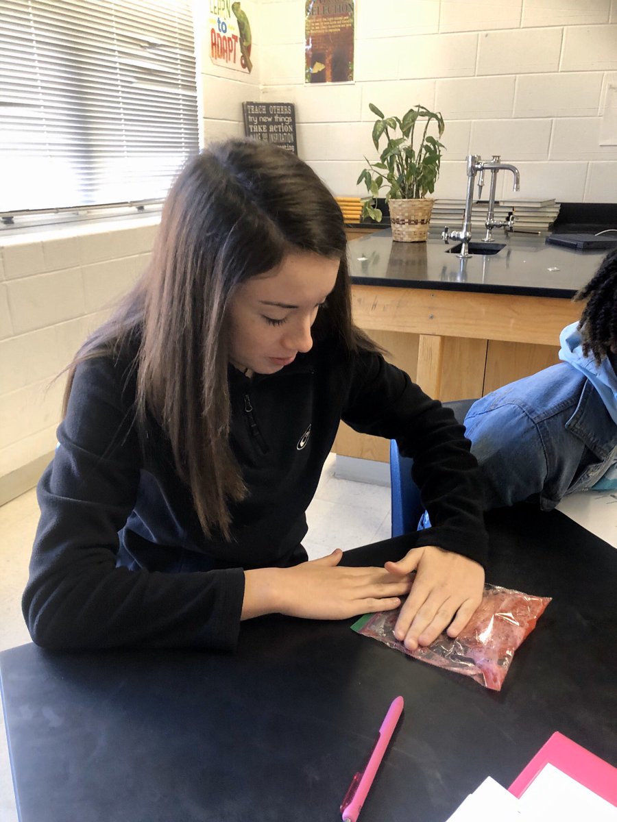 DNA Extraction. Students used scientific investigation to observe the physical properties of DNA! #scpsva #iteachbio #makesciencefun