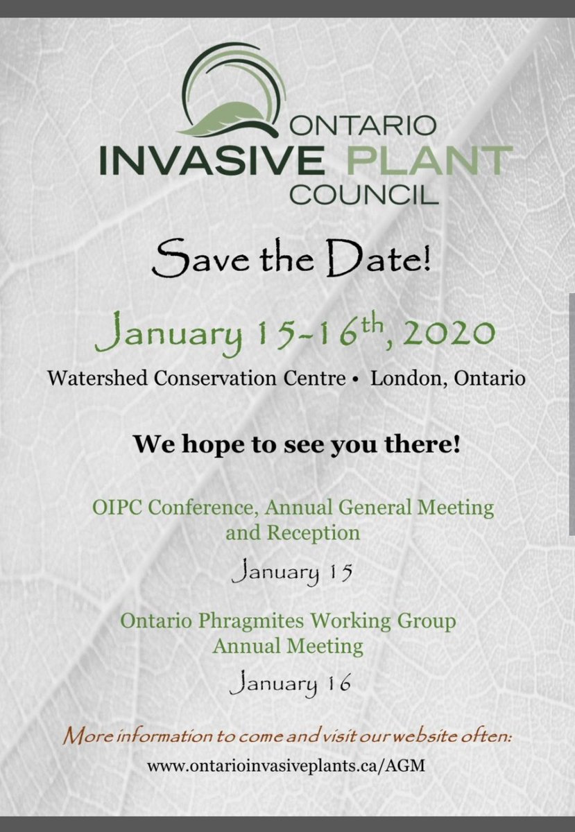 Ontario Phragmites (@ontariophrag) on Twitter photo 