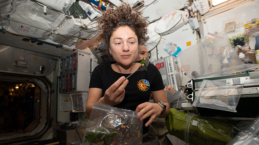 It's harvest time on @Space_Station! 🍃 Astronauts have been cultivating fresh mustard greens in the station's Veggie facility. Today, they cut some of the leaves — half go in freezers for later analysis on Earth, and half are for the crew to taste. More: https://go.nasa.gov/2XgyrFR