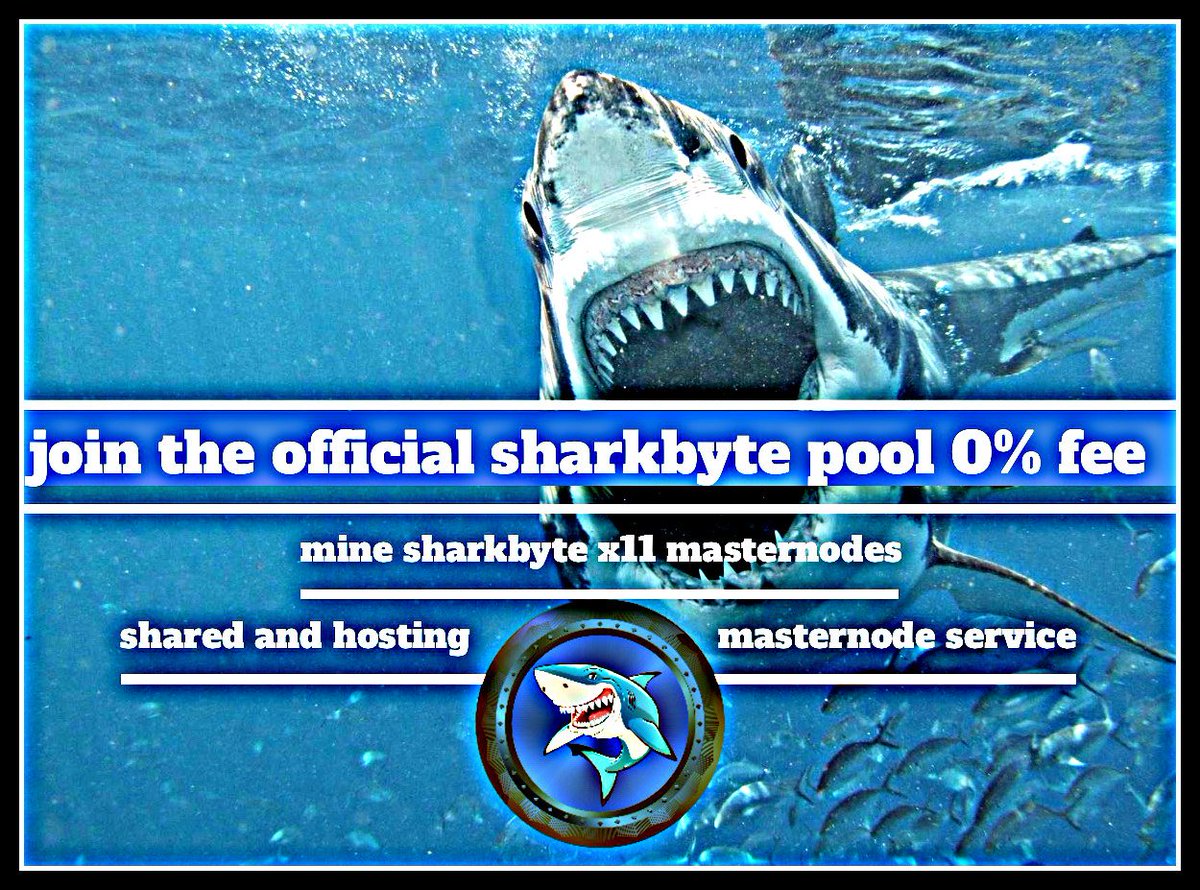 sharkcex tweet media