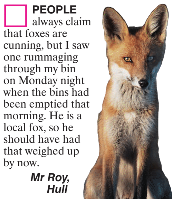 Viz Comic (@vizcomic) on Twitter photo 