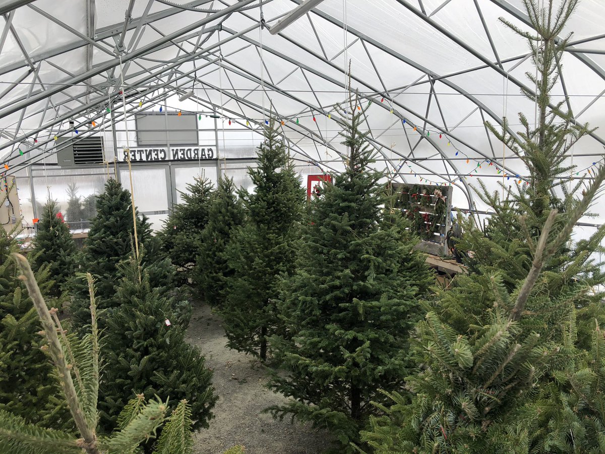 JettysLandscape's tweet photo. Trees and wreathes are making their way in!  So exciting 😃 #christmastrees #wreathes #holidaydecorating @JettysLandscape https://t.co/LE8CSfm9dV