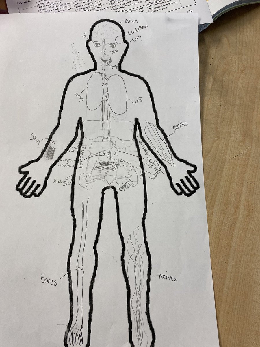 duceyjo's tweet photo. Win-Win!! While listening to “organ” music the HLE scientists are creating and demonstrating their understanding of the human body organs 💀🧠👀👃🏼@meg_griffis @CollierScience @HLELeaderInMe @TraciTech https://t.co/MpLvBUccGr