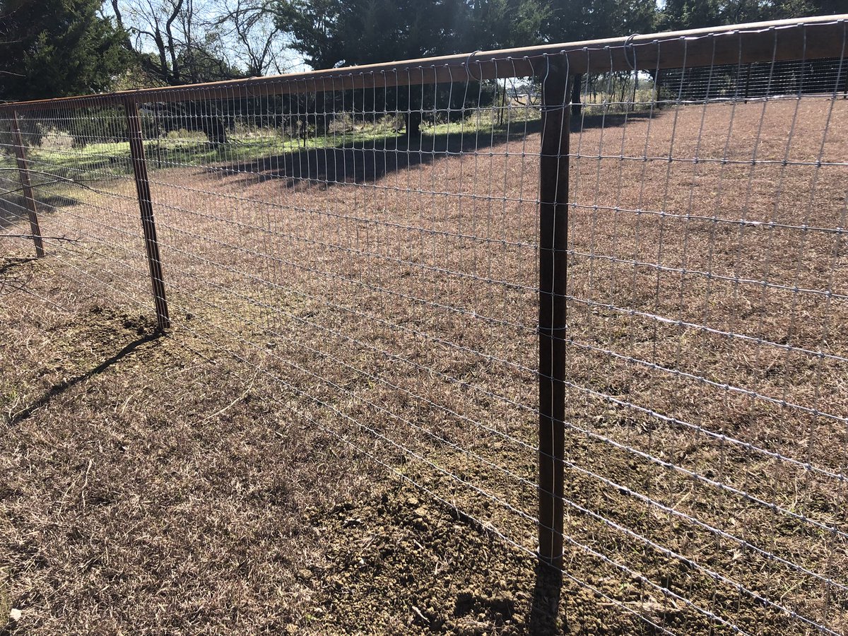 kaufmanfencepro's tweet photo. Pipe fence done right by the top rated ag fence company around! #kaufman #fence #toprated https://t.co/l2NLog45Vw