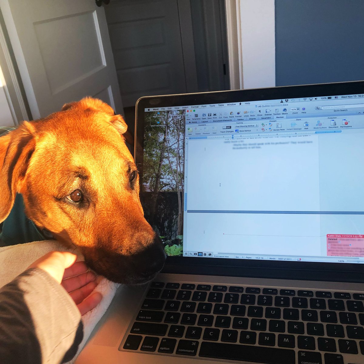 The sun is setting, and Eezo is coming to check on my progress for today. #Writing the outline for a new @AtriusEndures story.... #horror can be hard to come up with on such a beautiful day. 🧡