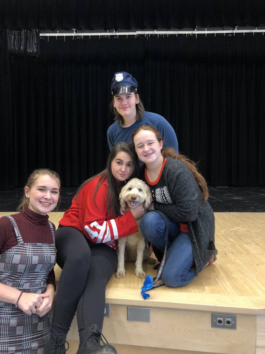 BrooklinMusical's tweet photo. Rehearsing with our four-legged friend today! Leila is making her theatre debut as “Sandy” in our production of “Annie” this December!! @beargrowls @brooklinhs @BHSArtsDept https://t.co/8YwTiI2wZR