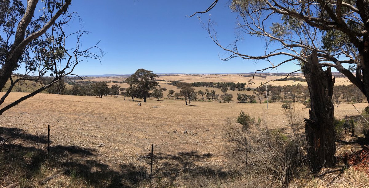 Kevin Booth tweet media