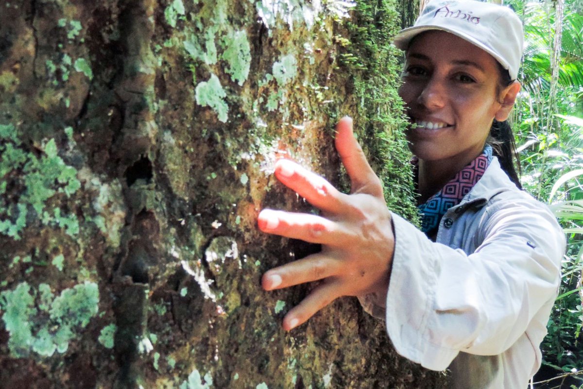 Agencia_Andina's tweet photo. 👏👏🇵🇪Peruana Tatiana Espinosa recibe el premio Jane Goodall por su lucha en la conservación de los grandes árboles de la región Madre de Dios🌳 https://t.co/SR1CIv0p3q https://t.co/d0GlJUXO1R