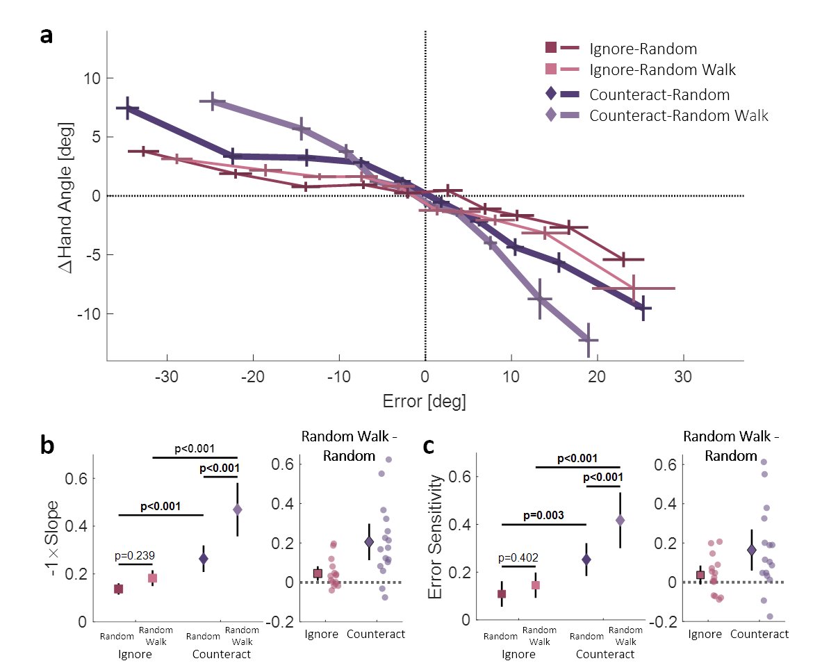 avraham_guy's tweet photo. Unlike participants that deliberately counteract the rotation, participants that are asked to ignore the rotated cursor and move directly to the target (eliminating strategy use) do not exhibit significant changes in error sensitivity between low and high consistency conditions. https://t.co/yc1CJH6UTB