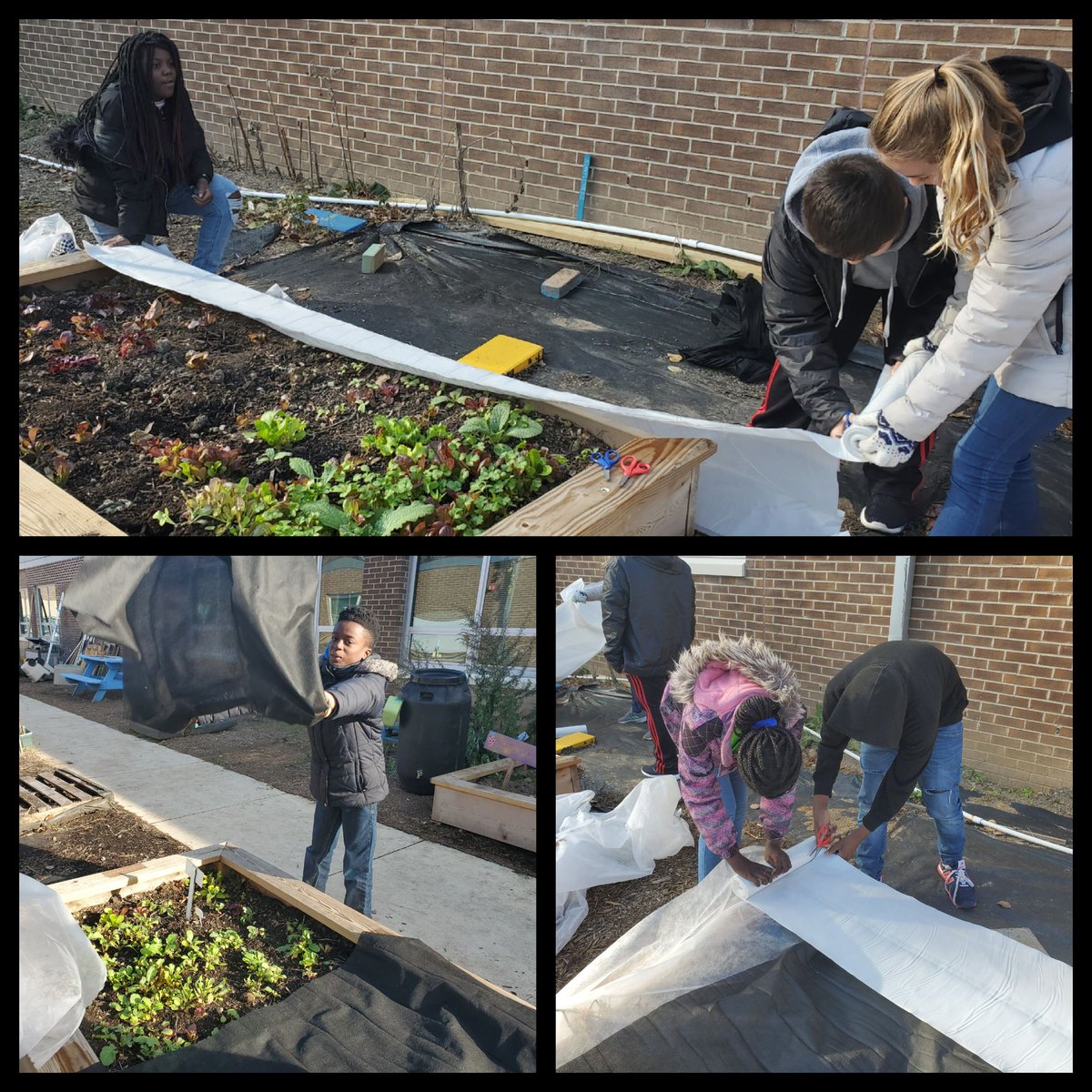 Angela Palma tweet media