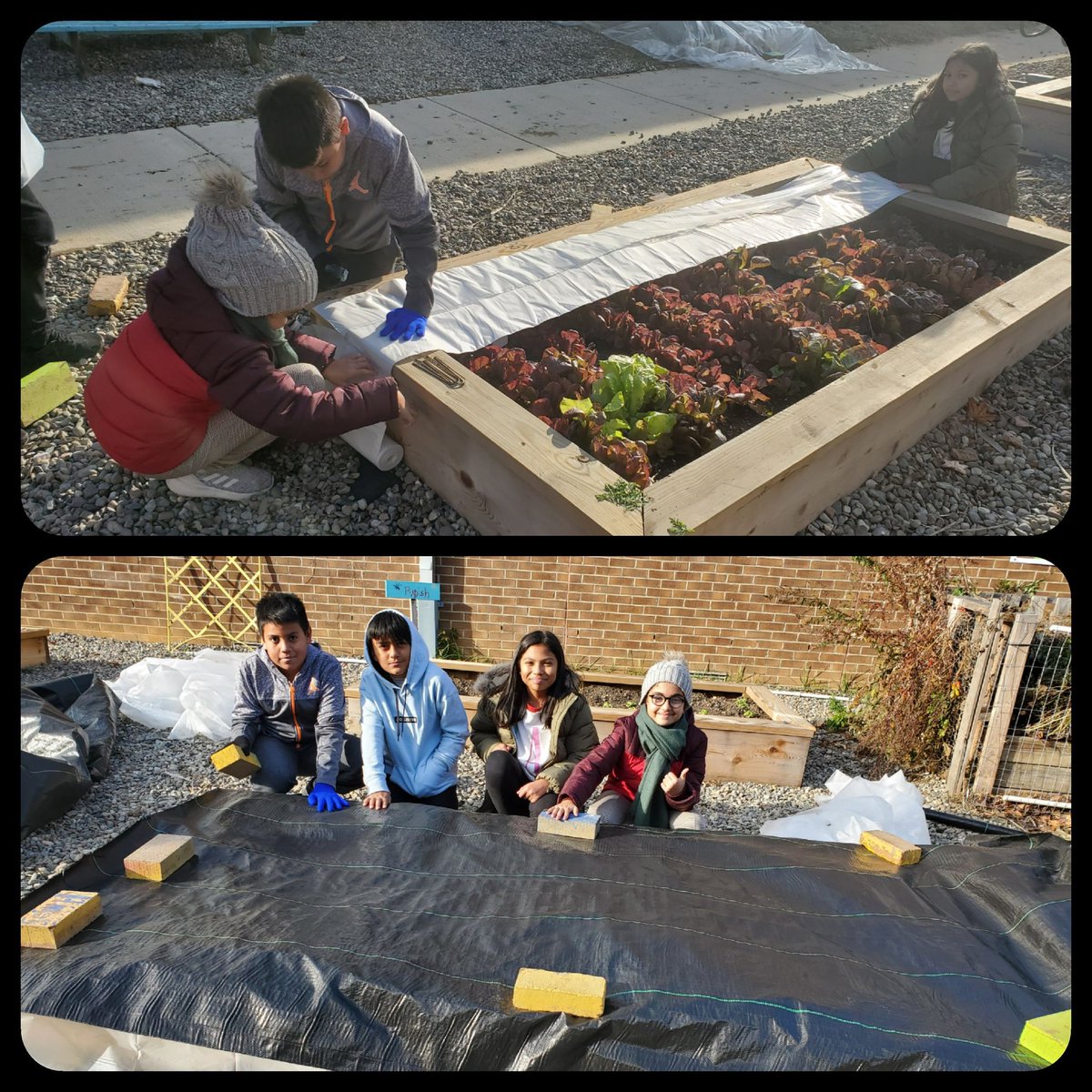 Angela Palma tweet media