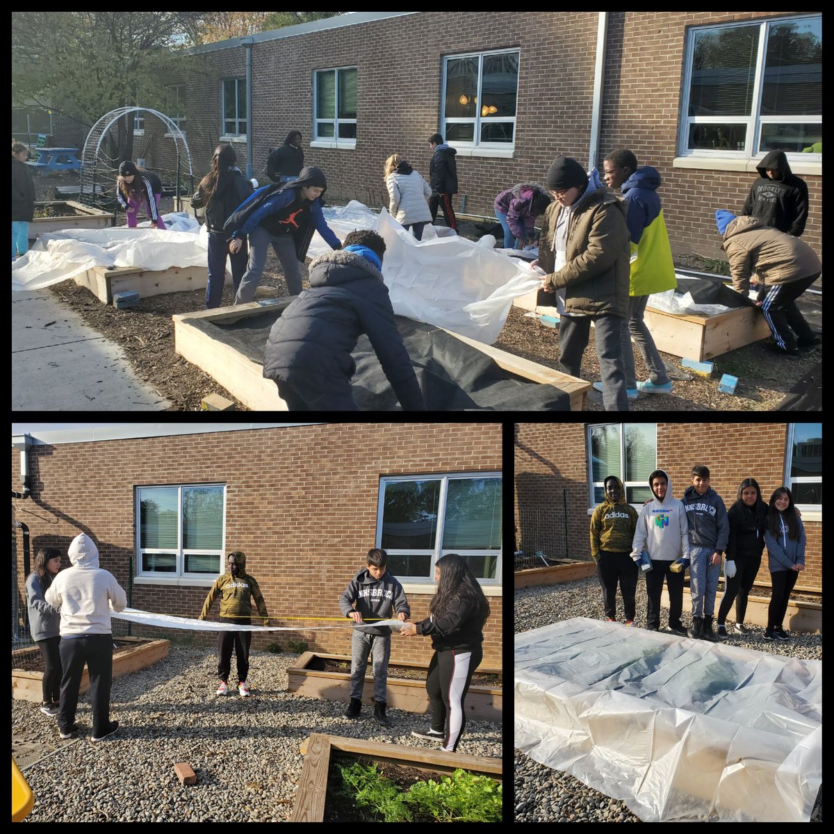 Angela Palma tweet media