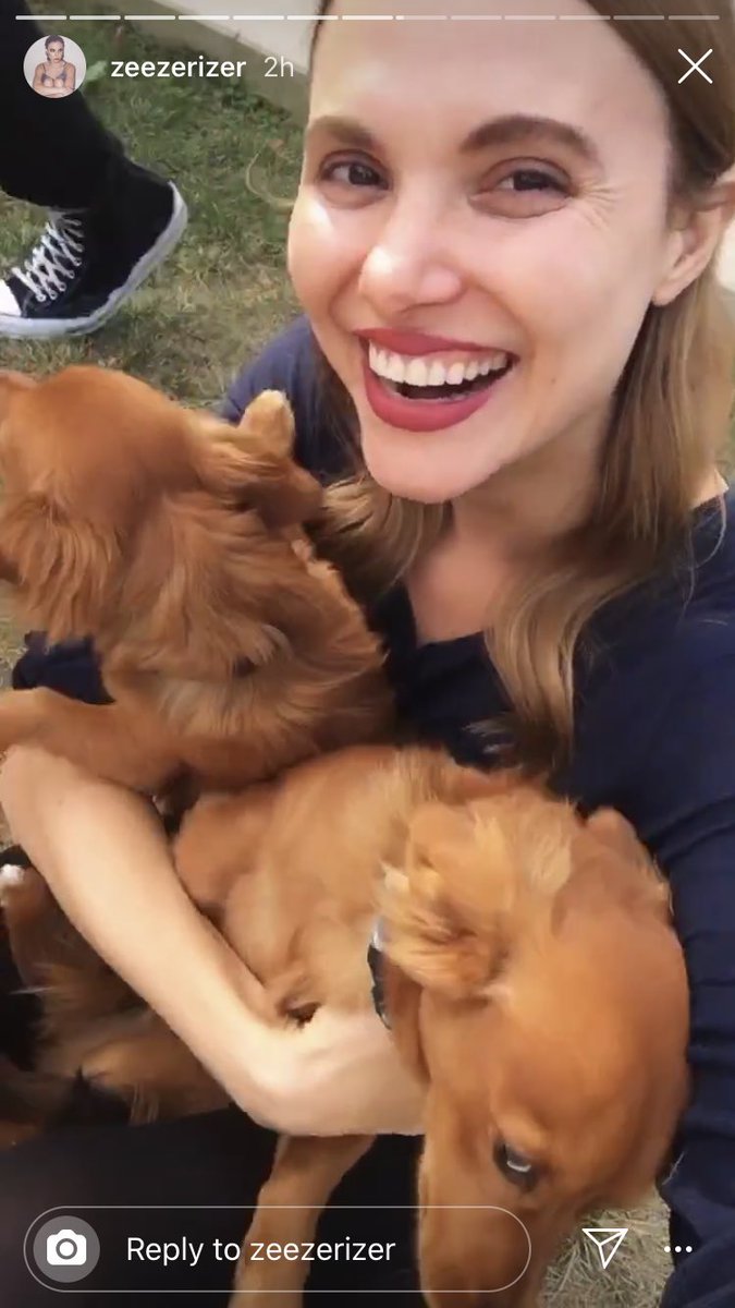 betterryanpics's tweet photo. as if this wasn’t already the cutest story in the entire world but then i heard ryan’s voice in the background 🥺😭 https://t.co/dnLnxIOK9w
