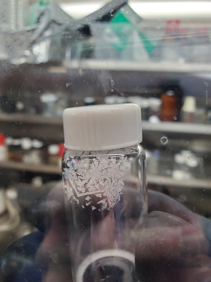 JunorGlen's tweet photo. The little curly crystal reminds me of Christmas! #BertrandLab @UCSDChemBiochem https://t.co/ehpxmFYsEz