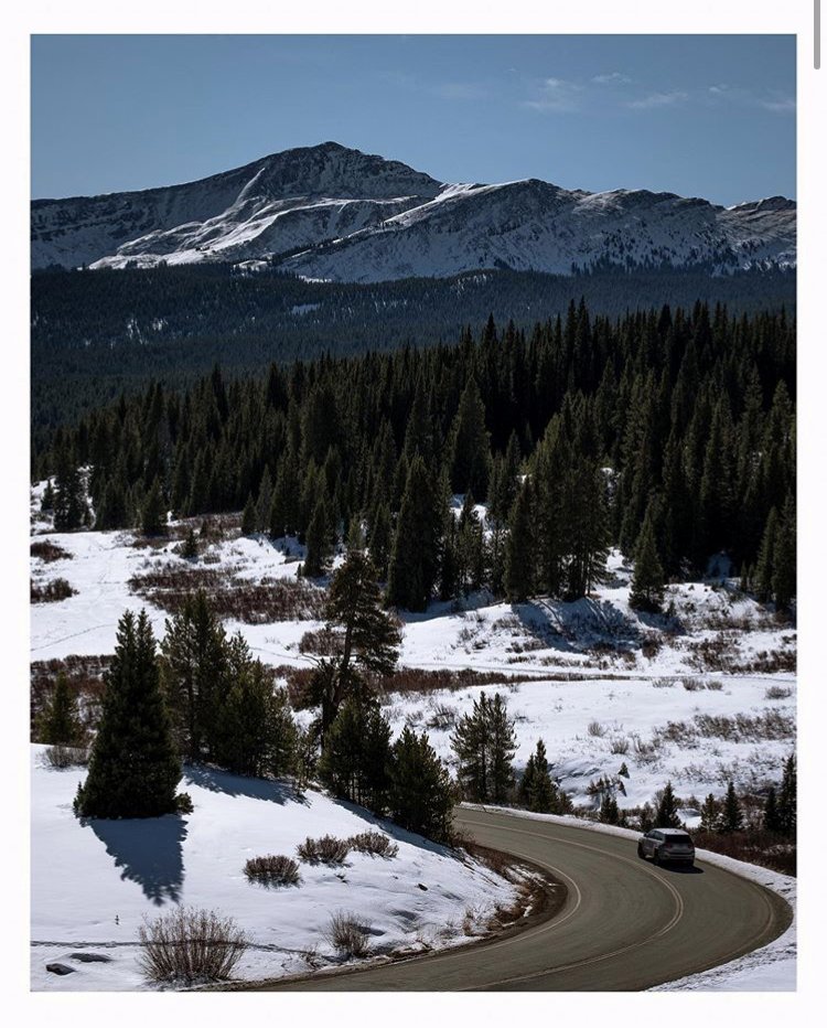 Tyler Webb tweet media