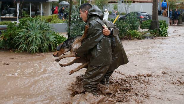 michelelabbe's tweet photo. Porque no solo son Chilenos, sino porque están grabados a fuego en nuestro ❤️ #GraciasCarabineros https://t.co/XlgyAOQebI