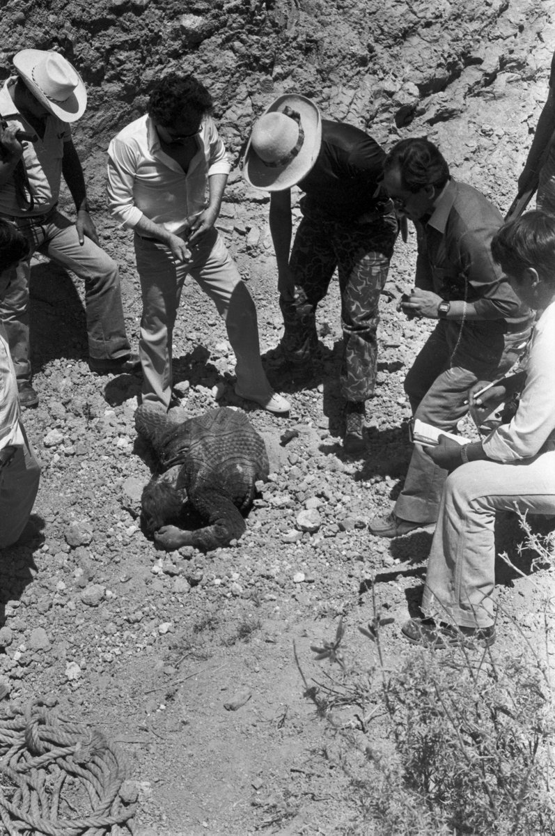 LUMoficial's tweet photo. #HoyEnMiMemoria 13 de noviembre, 1983. Un grupo de 11 integrantes de la Guardia Civil asesinó a 32 campesinos de la comunidad de #Socos (Huamanga, Ayacucho). A pesar de haberse judicializado y condenado a los responsables, las sentencias no se cumplieron en su totalidad. https://t.co/HeGaUI8vkX