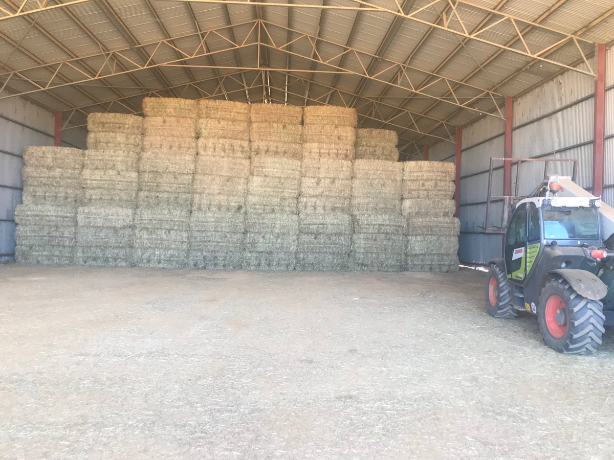 Rossco75's tweet photo. Got some really nice Ryegrass/Balansa Hay coming into the shed - another good crop from the tractor jockeys ⁦@BrooksGunnadoo⁩ ⁦@BrettPage72⁩ https://t.co/TLuyciz6RQ