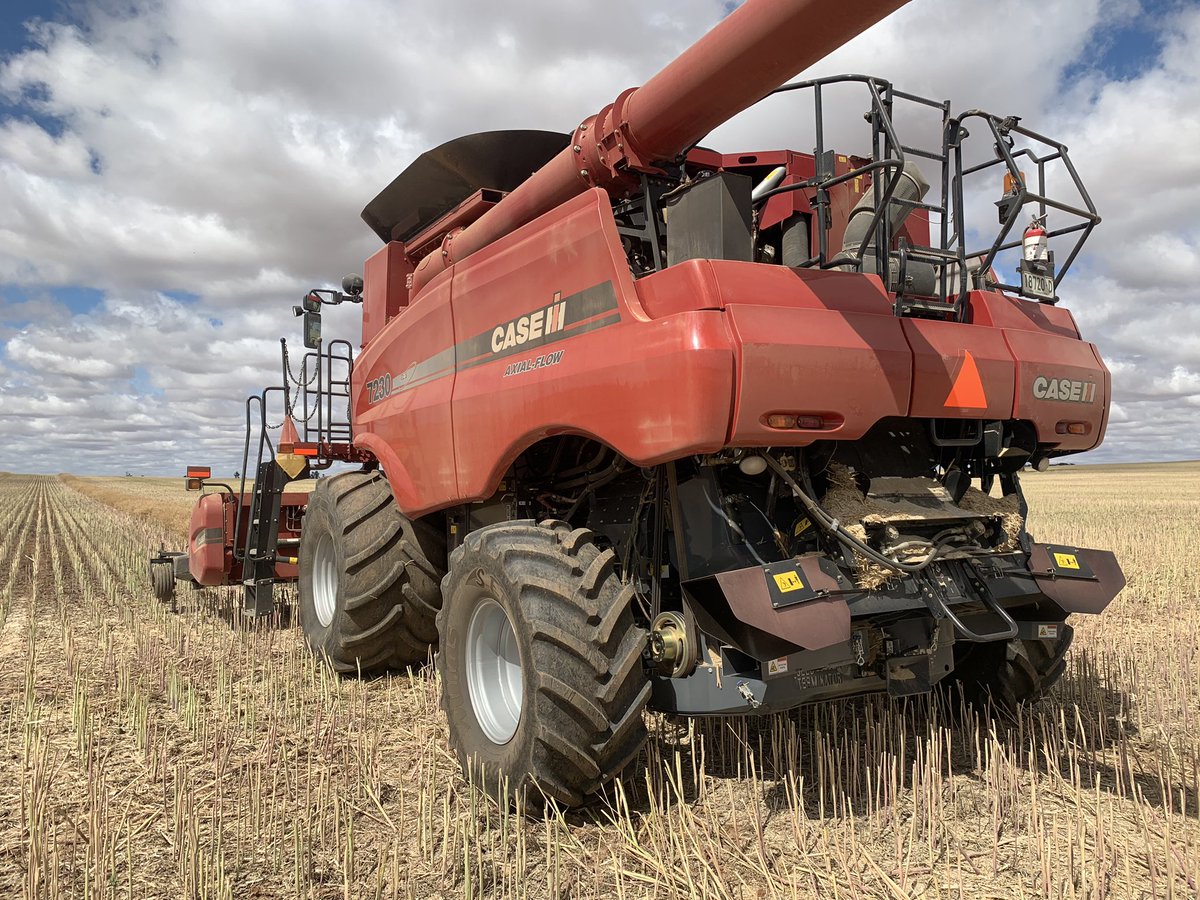 snides007's tweet image. So day 1 of joining the #seedterminator cult completed. Another part of the #weedsmart big 6 puzzle added. Definitely turns it all to dust. Only canola so far so real test will be in the cereals. @seed_terminator @NickBerry87 @AHRI_Team