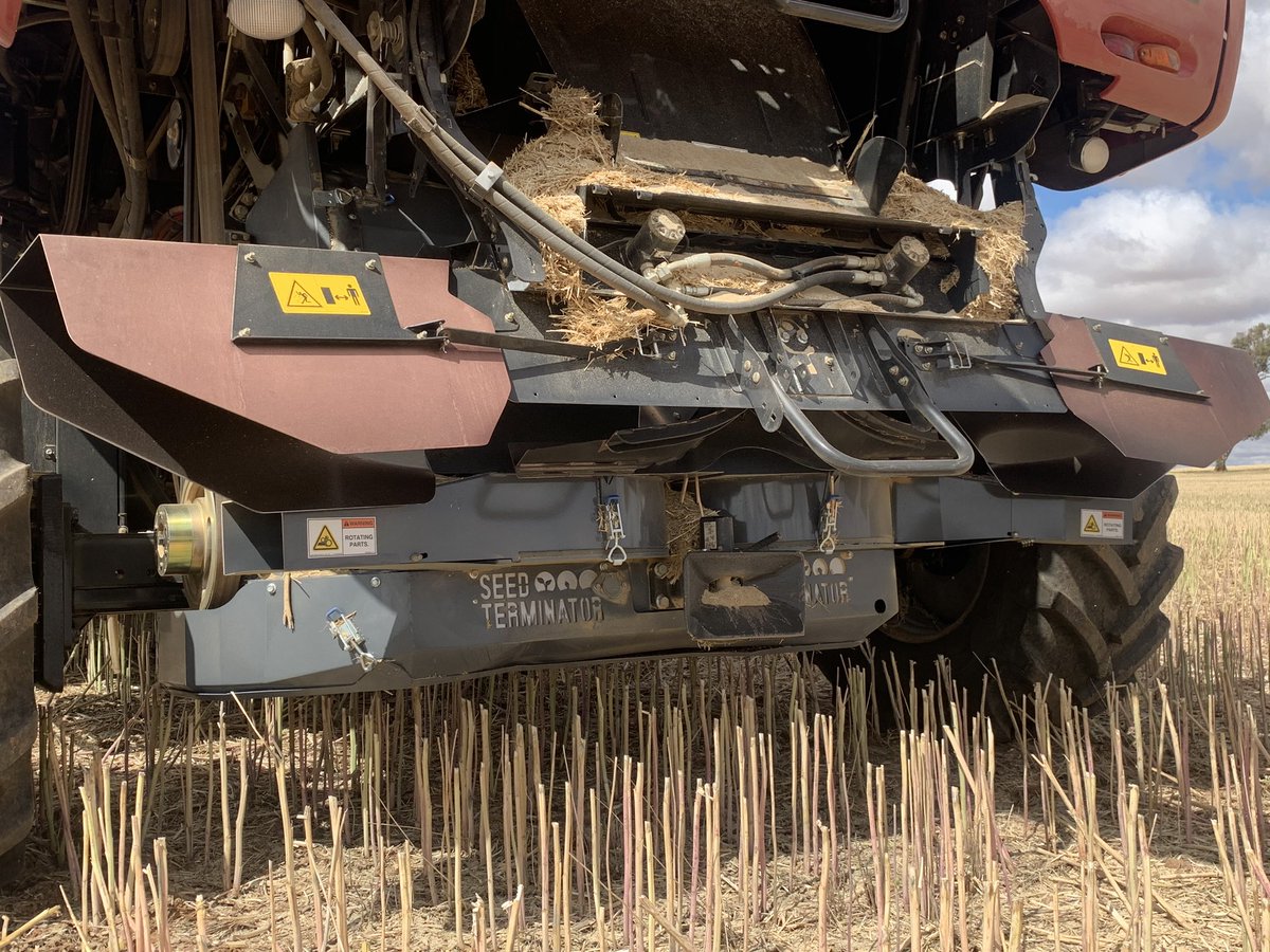 snides007's tweet image. So day 1 of joining the #seedterminator cult completed. Another part of the #weedsmart big 6 puzzle added. Definitely turns it all to dust. Only canola so far so real test will be in the cereals. @seed_terminator @NickBerry87 @AHRI_Team