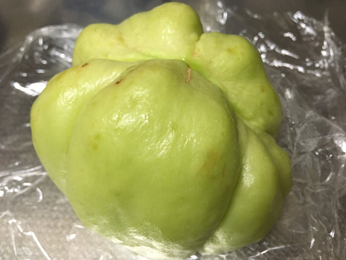鳴橋庵 Be京都さんで頂いた京北産無農薬の はやとうり 炊いてもお漬物にしても美味しいと聞いてましたので お味噌汁に入れました 実がしっかりしてて形が崩れず 味がよくしゅんで美味しかったです はやとうり 京北 Be京都 無農薬 鳴橋庵 Be京都さんで頂いた京北産無農薬の はやとうり 炊いてもお漬物にしても美味しいと聞いてましたので お味噌汁に入れました 実がしっかりしてて形が崩れず 味がよくしゅんで美味しかったです はやとうり 京北 Be京都 無農薬