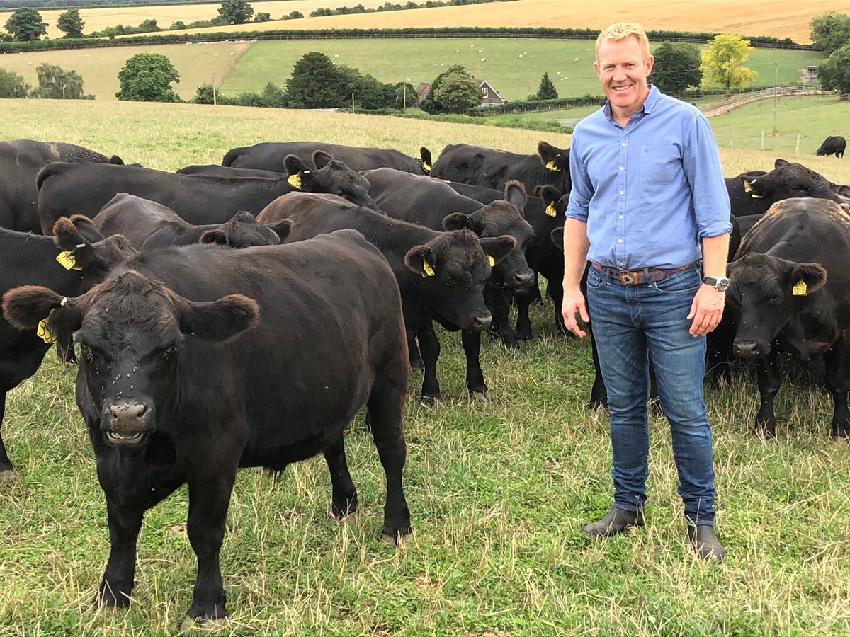 farmers3b's tweet image. La race du jour : Sélectionnée à partir de 1974 par des chercheurs Australiens pour sa petite taille, elle est issu à la base de la race Angus. 
Robe noire, naturellement sans corne, sa taille ne dépasse pas 1,10m, son rendement carcasse est élevé.

#ThomasCeciEstUne #Lowline