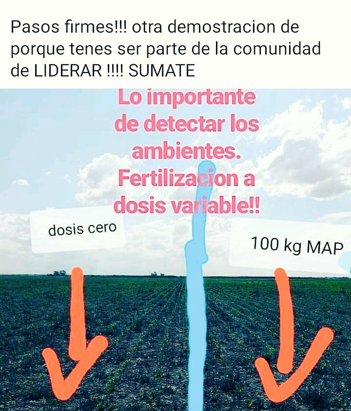 Liderar_arg's tweet photo. Cada lote es particular en su disponibilidad nutricional!! https://t.co/YFOfzZADa1