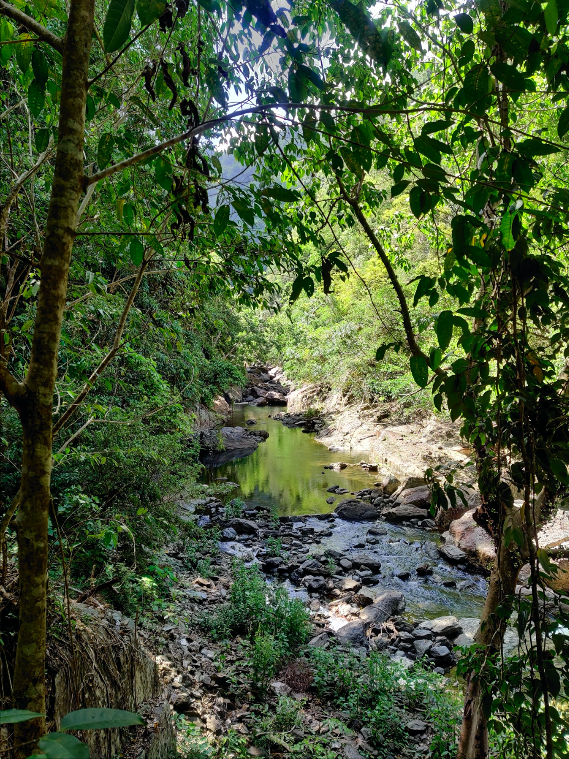 hellopraxis's tweet photo. The stunning Crystal Cascades waterfall near Cairns was an absolute sight on Day 2 of our work retreat 🌴
#praxis #workretreat #workperks #cairns #qld #tropicalnorthqueensland #crystalcascades https://t.co/V10MddnZxw