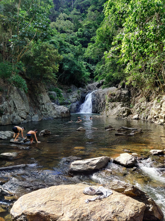 hellopraxis's tweet photo. The stunning Crystal Cascades waterfall near Cairns was an absolute sight on Day 2 of our work retreat 🌴
#praxis #workretreat #workperks #cairns #qld #tropicalnorthqueensland #crystalcascades https://t.co/V10MddnZxw