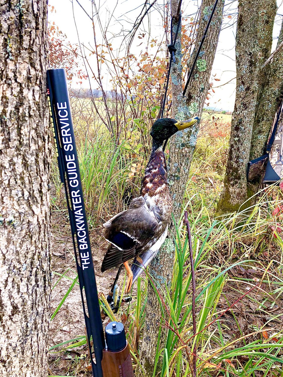 The birds are starting to move into our area finally. @TheBackwaterGuideService