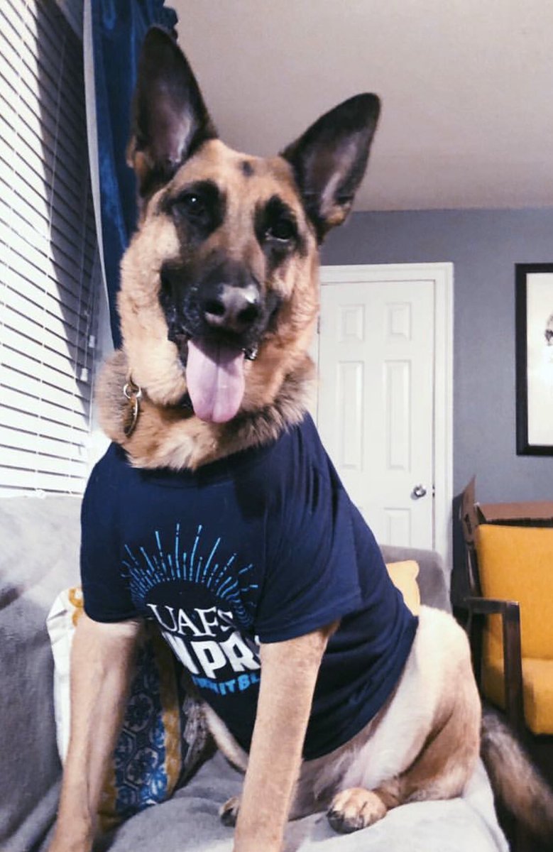 RachelRodemann's tweet image. Atticus kicking off @UAFS lion pride Friday!