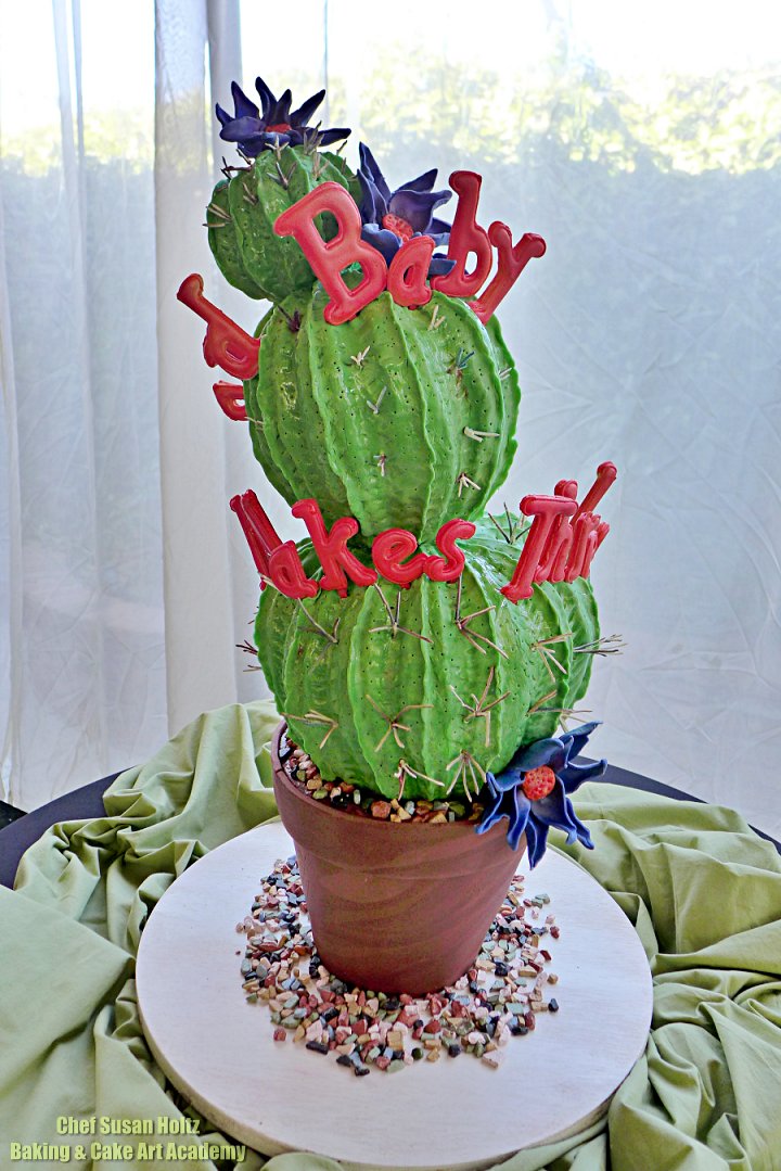 bakingcakeart's tweet photo. ***Take a Look at Chef Susan's Newest Cake***

Yes!!! ....The cactus and the pot are both cakes.
All edible except for the thorns.

🍰 #BakingandCakeArt #BakingandCakeArtAcademy #ChefSusan #ChefSusanHoltz #BakingClassesLosAngeles #Baking #Cactus #Cacti #CactusCake #Succulents https://t.co/bhkOvjS1rN