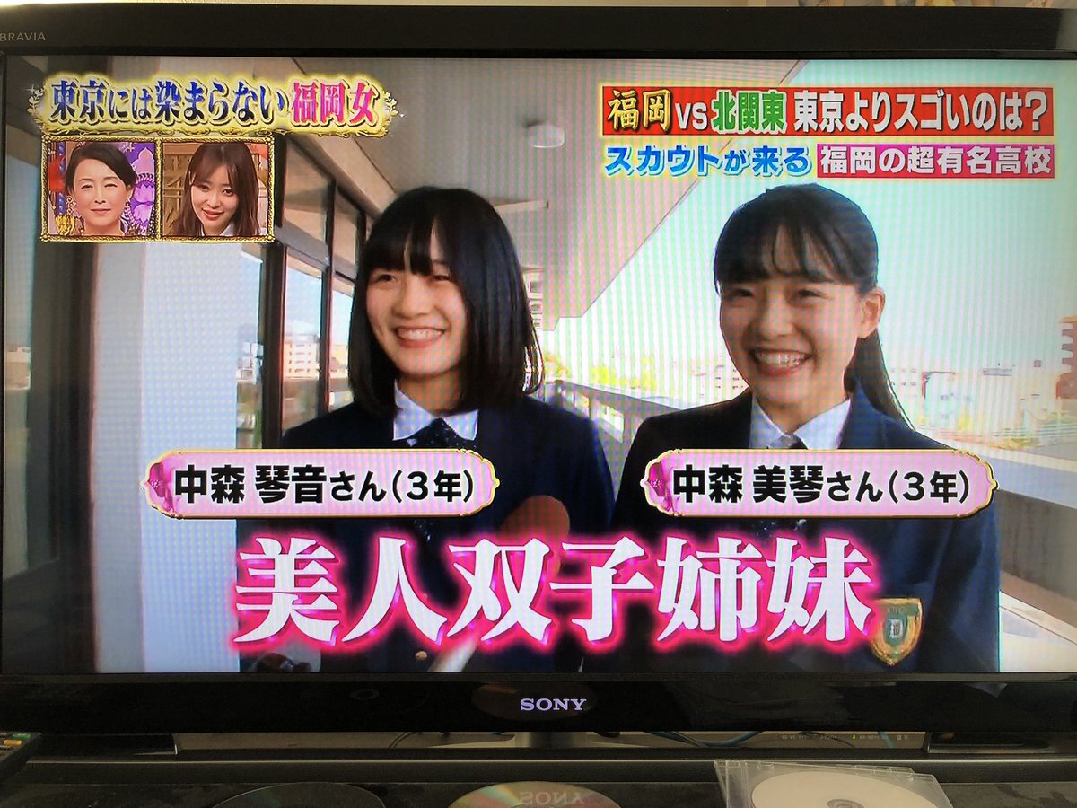 最近の可愛いものたち🩵💧 ♡24時間以内発送♡ みことね