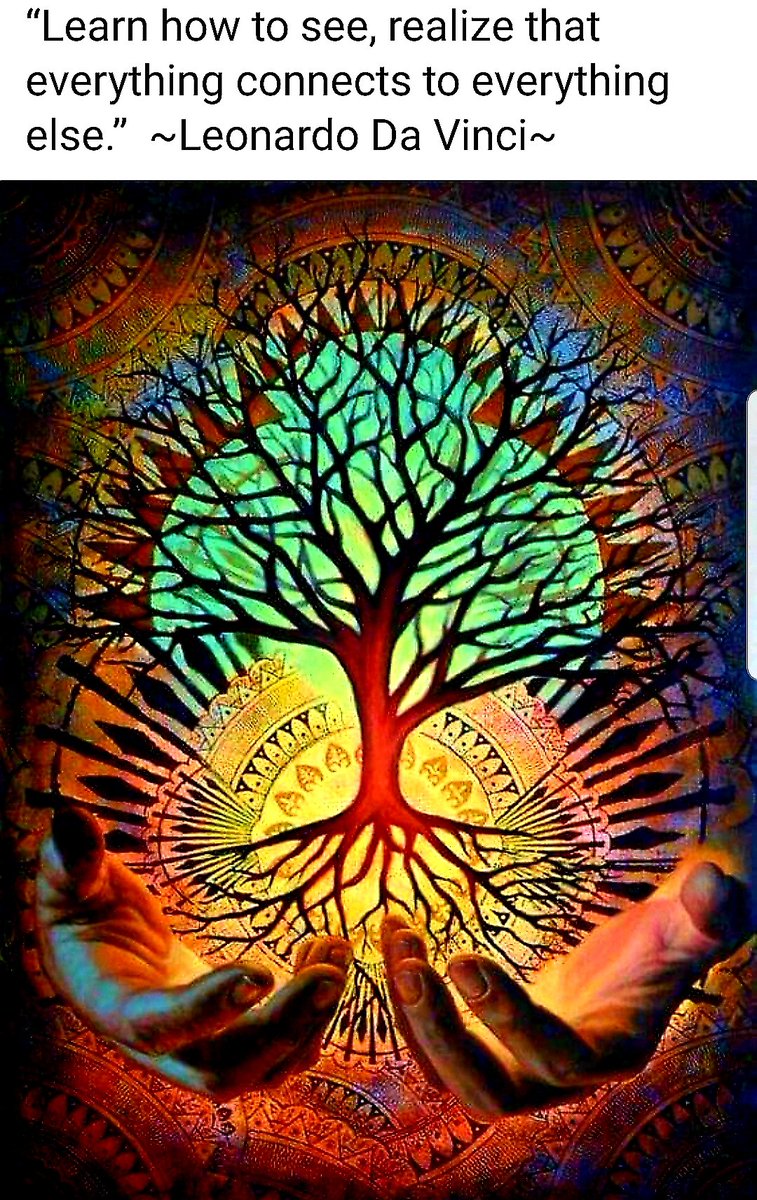 UnseenBlossom's tweet photo. The Unseen Blossom- A perpetual gift of love 💚
#amustreadbook
#theunseenblossombook #amazon #amazonkindle
#bookworm #booklife #yabooks #bookshelf #publishersweekly #goodreads #novels #readersfavorite #ReadWithJenna #OprahWinfrey #oprabooks #mustreads #bookblogger #novels #Peace https://t.co/Na0v7ez5sV