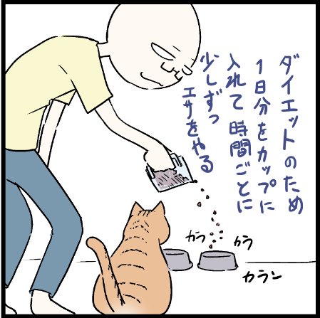 コボボイの家では今日も凶悪な事件が発生しているのである!
#猫 