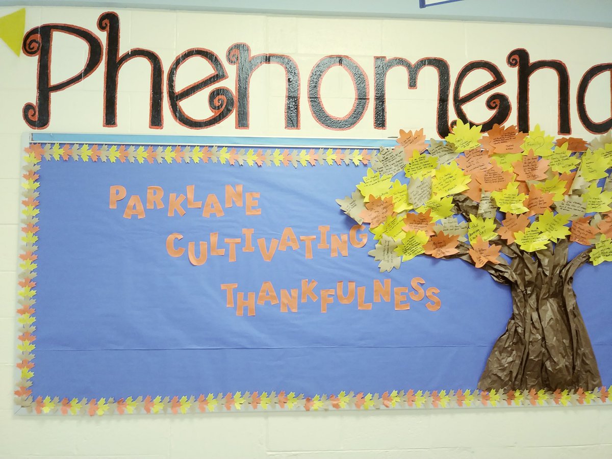 Lisa Canady tweet media