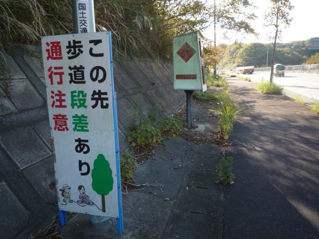 歩道はうねうねで進みづらいし車道は石ころだらけ……舗装されてない道がちょくちょくある 夜間だとほんまに危ないなあ 