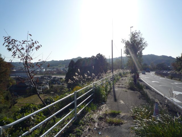 歩道はうねうねで進みづらいし車道は石ころだらけ……舗装されてない道がちょくちょくある 夜間だとほんまに危ないなあ 