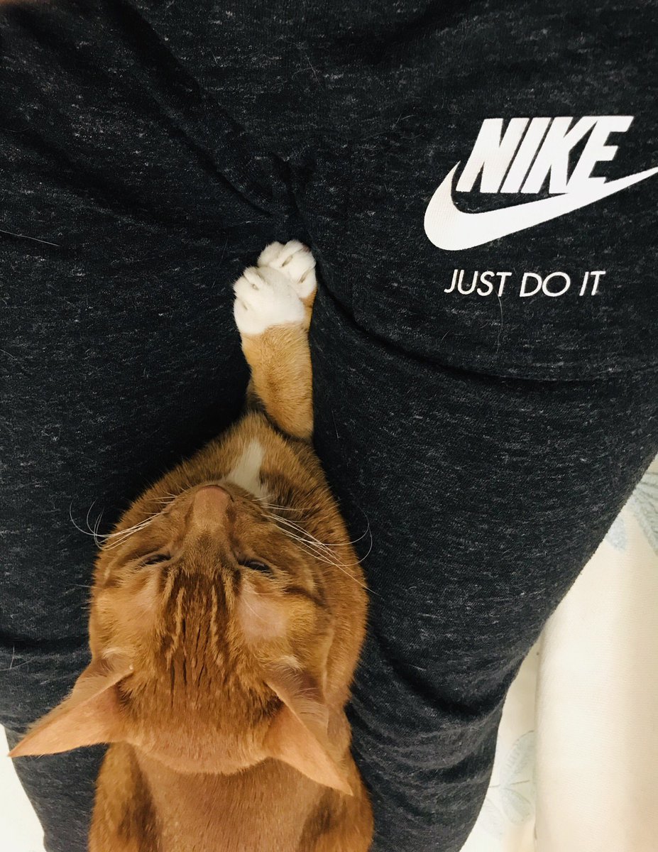 LauFlora2's tweet photo. Understand the true value and desire, stand and go, #JustDoIt #StandWithHongKong #FightForFreedom #FiveDemandsNotOneLess https://t.co/84bfN6TEWb