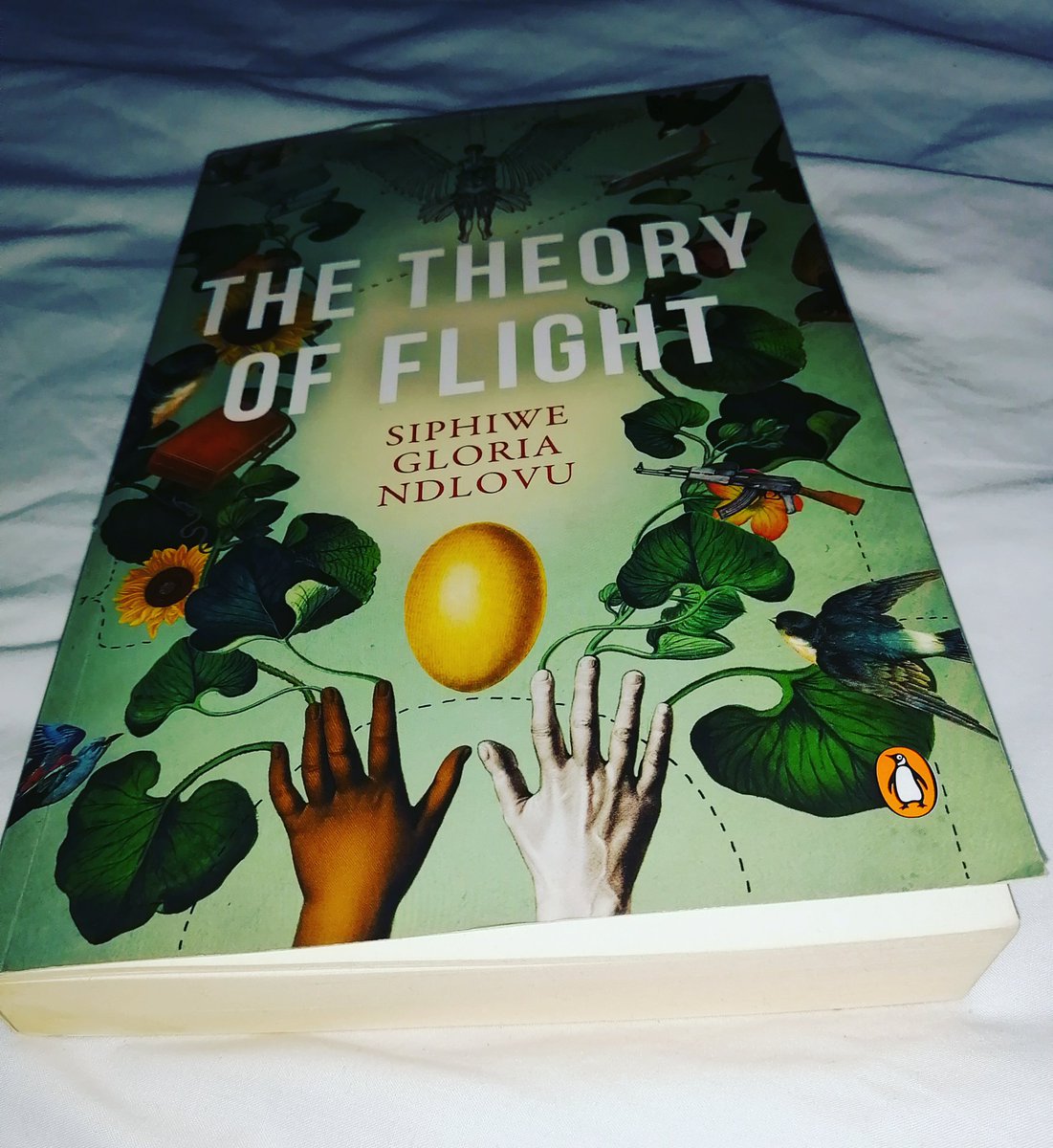 Now reading The Theory of Flight by Siphiwe Gloria Ndlovu.  @JeleCynthia said it is good.