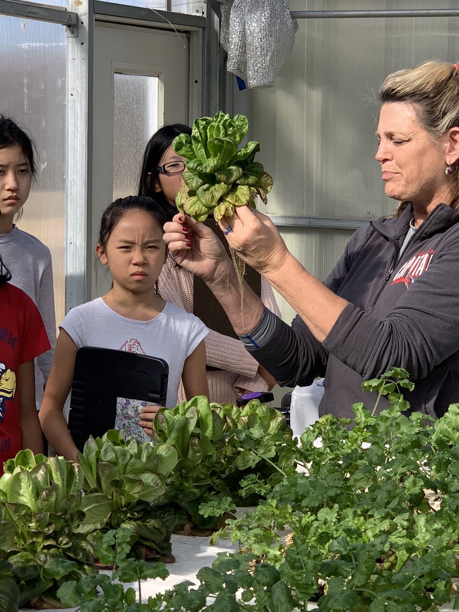 TeachCSPhanatic's tweet photo. Our students will be making their own aquaponic/hyrdroponic system in school so learning how a 21st Century farm utilizes technology &amp; current practices is invaluable advice &amp; information as they design &amp; build their own systems. #BellaVitaFarm @RCMSPrincipal @rcmscentercoor1 https://t.co/E15qNKXqhU