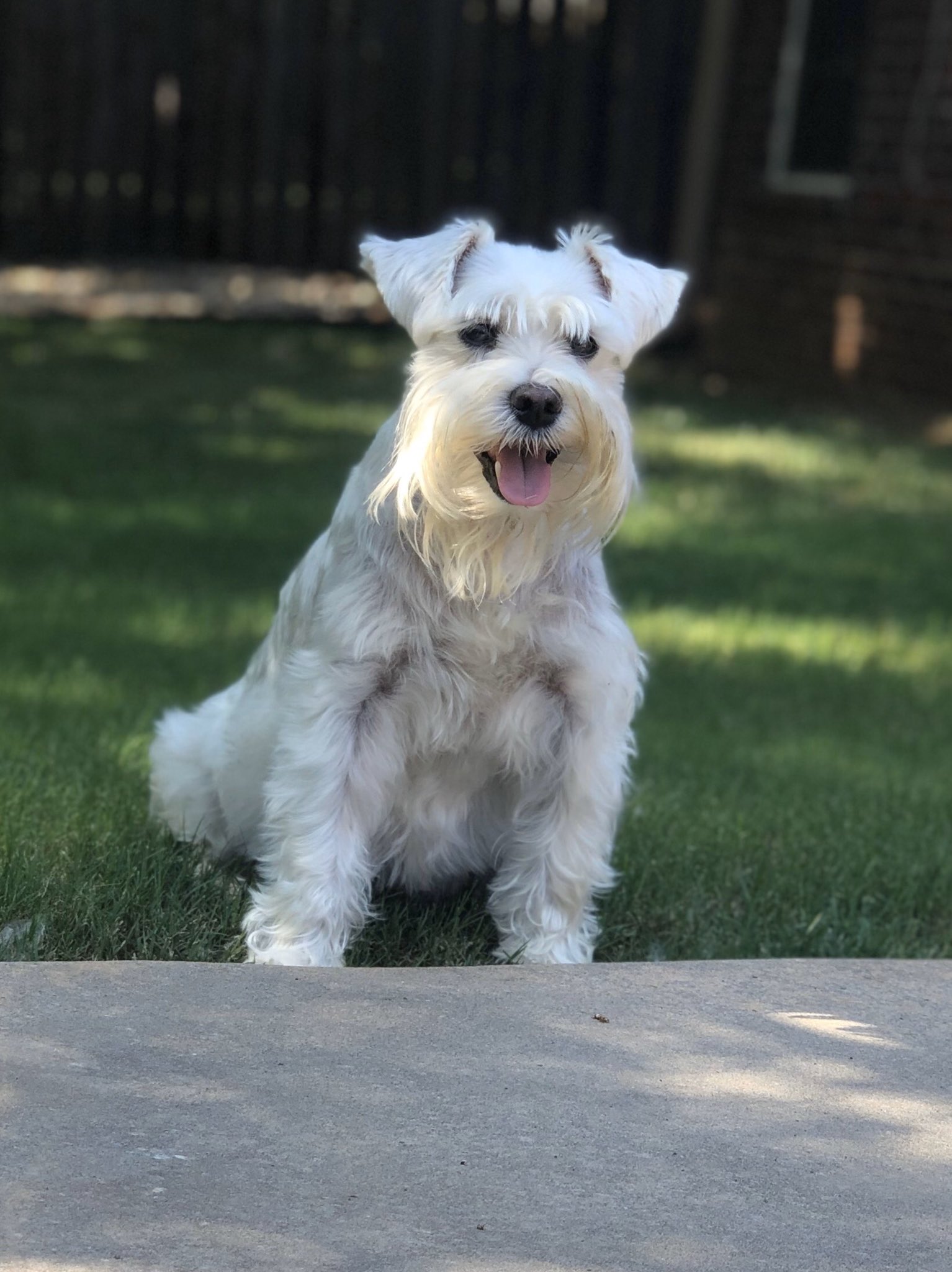  Happy Birthday from Russell Westbrook Fields 